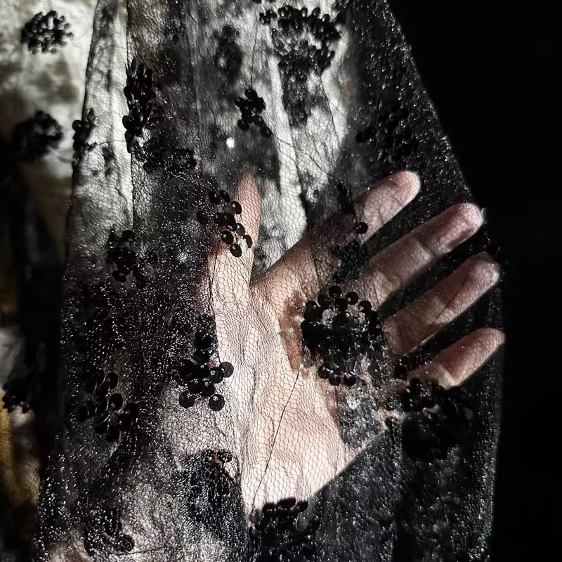 Koronkowa tkanina z haftem kwi – Embroidery Net Dress recenzja i cena